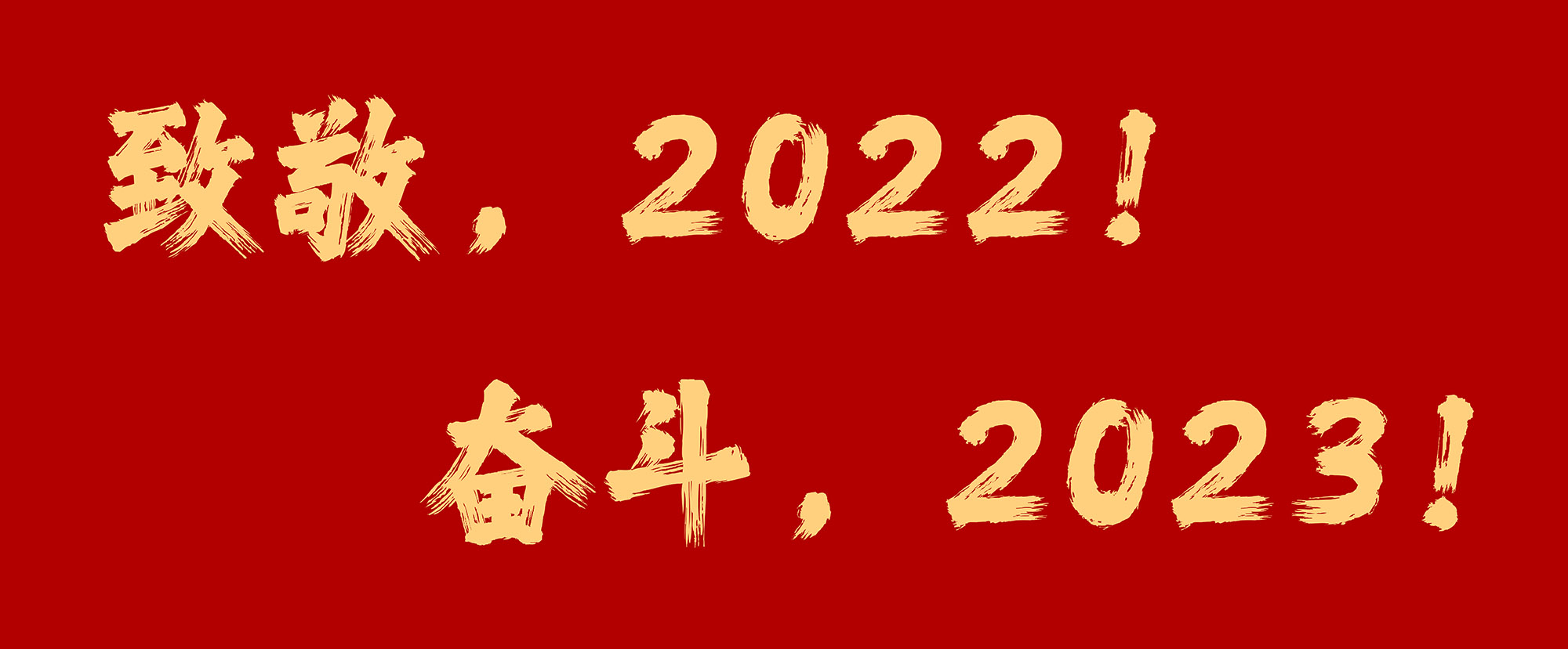 致敬，2022！奋斗，2023！